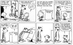 Transmogrifier Png 1 229 768 Pixels Calvin And Hobbes Comics Calvin And Hobbes I Fall In Love