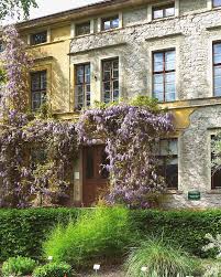 Ab jetzt im botanischen botanischer garten der universität ulm: Alter Blauregen In Der Fruhlingsblute Botanischer Garten Halle An Der Saale Sachsen Anhalt Halle Saale Wisteria Garden Und Halle