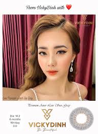 Premium Amor Lens Sun gray