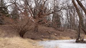 Lapham peak is a wisconsin state park located in the kettle moraine state forest. The Park Next Door Lapham Peak State Park Delafield Wi The Park Next Door