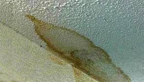 Sararmis Tavan Boyasi Nasil Yapilir Sararmis Tavan Nasil Temizlenir Permolit Tavan