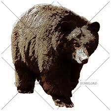 Bear Png Image With Transparent Background Stock Images Free Png Images Png Photo