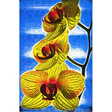 May 14, 2021 · the smithsonian american art museum, the nation's first collection of american art and one of the world's largest and most inclusive collections of art made in the united states, is an unparalleled record of the american experience Still Life Gallery Wall Art Print Three Yellow Orchid Blooms