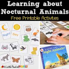 This article on nocturnal animals list will help you understand the insects, birds, and animals that can hunt and survive in the dark. Learning About Nocturnal Animals Free Printable Activities