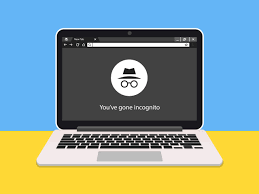 It's the mode that doesn't store anything in history. Chrome Incognito Mode Not As Secure As You Think