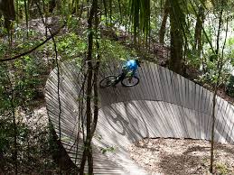 Image result for Alafia