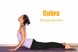 Baddha konasana the butterfly pose gaia. How To Do Cobra Pose Yoga Poses Step By Step Explained