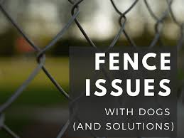Rachel first laid two cedar planks on the ground horizontally, separated so that outer edge to outer edge. Fence Ideas For Dog Owners Pethelpful
