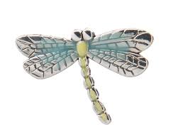 Their young hide among water plants. Dragonfly Charms Great Gift Charm Luck Cute Ganz Catching Fireflies