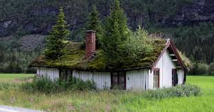 The benefits of pet green roofs are numerous,are of natural beauty and smell research, isolate, attract butterflies and repel fleas.you can even use the runoff that naturally filtered drinking water for your dog.shelters. The Grass Roofs Of Norway Amusing Planet