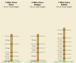 An electric fence works better in combination with deer repellent. Electric Fence Rabbit Fencing Advice On Energisers Wire Posts