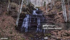 1,594 Vanessa Waters Stock Photos, High-Res Pictures, and Images