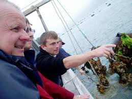 Sea squirt eradication project wins Award