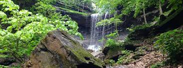 There is always something exciting and new for kids to explore and so many new experiences to inspire curiosity. Favorite Hikes On The Finger Lakes Trail Go Finger Lakes