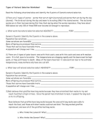 Worksheet will open in a new window. Types Of Natural Selection Ws