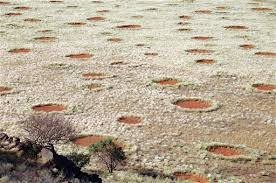 A fairy circle in namibia. Dragons Aliens Bugs Scientists May Have Solved The Mystery Of The Desert S Fairy Circles The Washington Post