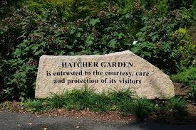 Botanical garden and preserve located in spartanburg, south carolina. Hatcher Garden Woodland Preserve Sc Picture Project