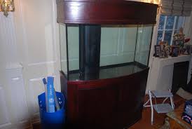 Doma25 39 S 90 Gallon Bowfront Pic Intense Manhattan Reefs Gallon Pics Intense