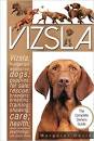 Vizsla Puppy for sale by owner - Puppies for Sale Near Me