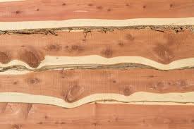 Lightly sanding the top layer off cedar wood will refresh the grain and bring back the much loved aroma. 9 Different Types Of Cedar Trees And Wood Home Stratosphere