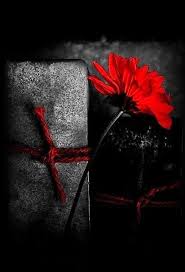 Beautiful Black And White Photography With Color Splash Pin By Dianna Wilhite On Adding A Touch Of Color Color Splash Red Color Splash Color Splash Photography