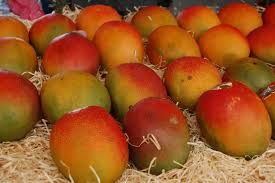 Next, pick one in which the leafy wings coming off the fruit have started to wither and brown, because that's a good sign that it's ready to eat. How To Tell If A Mango Is Ripe Or Not