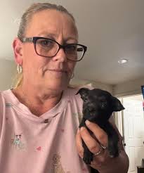 Not yet available Truffles Update We are still fighting all her skin issues  but no one loves taking medication like our girl Truffles!! She thinks they  are all a treat since we