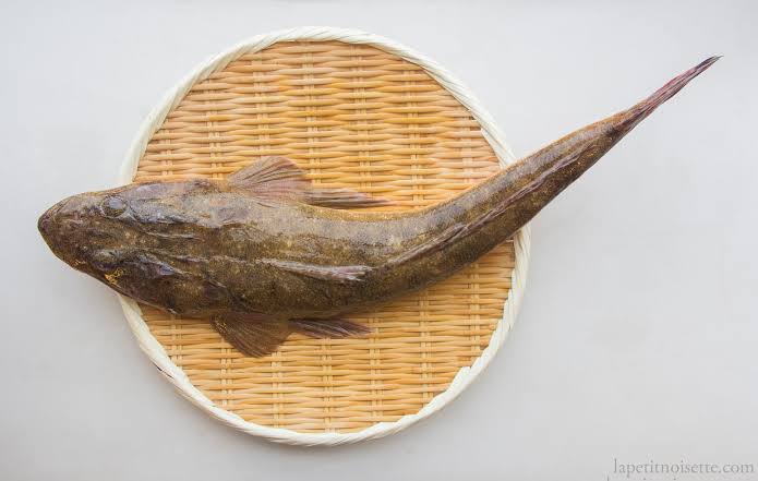 Flathead Sushi Recipe – The Japanese Food Lab