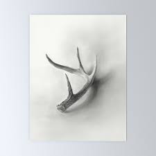 We did not find results for: Lost And Found Deer Antler Pencil Drawing Mini Art Print By Brooke Figer Society6