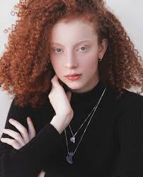 Ford Models Minas Gerais