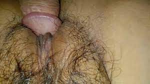 Slutty Tante Janda Masih Sempit Jakarta xxx Video  Video Seks Indo Harian