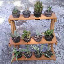 Статьи о нюансах сдачи лабораторных анализов. Rak Tanaman Bunga Susun Mini Rak Kaktus Rak Sekulen Shopee Indonesia