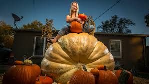 Seasoned giant pumpkin growers tip: Here S The Secret To Growing Iowa S Biggest Pumpkin