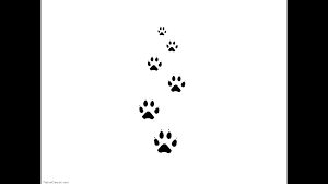 Whether you had a cat, dog, rabbit, or even a bird or lizard, it's possible to get a paw print of that animal tattooed in remembrance of your pet. Cat Paw Print Tattoo Ideas Elegant Arts Tattoo