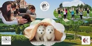 Puppy Yoga at Chandler Hill Vineyards