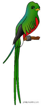 Quetzal coloring page to color, print or download. A Little Birdy Made Me Smile Sarah Quezada