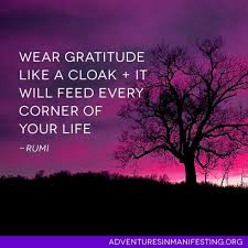 Quotes Don T Bite The Hand That Feeds You Coolio Rumi Quotes Rumi Gratitude Quotes