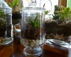 13 Great Gardening Activities For Kids Kiwi Families