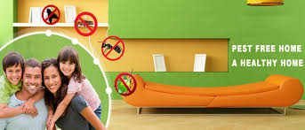 Keeping the bugs from becoming snug in your rug is a priority for homeowners, whether you 7. Home Pest Control Services In Pune Residential Pest Control Services In Pune Commercial Pest Control Services In Pune Industrial Pest Control Services In Pune Weed Pest Control Services In Pune Cockroach Pest
