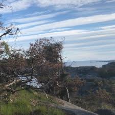 Maybe you would like to learn more about one of these? What To Do And See In Sandefjord Eastern Norway The Best Outdoor Activities