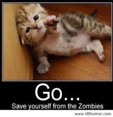 Pin Pa Funny Animals
