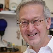 Dynamic in-situ microscopy relating structure and function