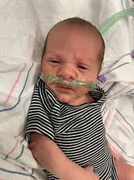 Living in a van with limited space ideas needed