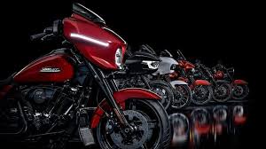 2025 Harley Davidson Carry Over Models