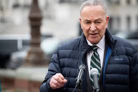 After that, she joined airbnb as a manager of public affairs in april 2015 and worked until october 2016. Who Is Chuck Schumer And What Is His Net Worth