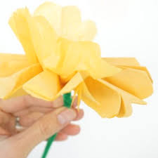 Maybe you would like to learn more about one of these? How To Make Tissue Paper Flowers Tinkerlab