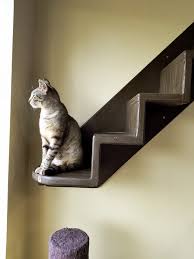 Another old post from 10 years ago to wrap up the work week. The Dog Days Of Summer Orlandocatcafe