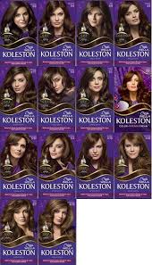 Koleston 6 1 Sac Boyasi Kullananlar Mytimeplus Net