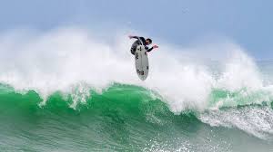 Image result for foto surfínie