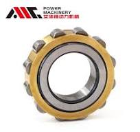 Rn307m Cylindrical Roller Bearing Truck Roller Bearing